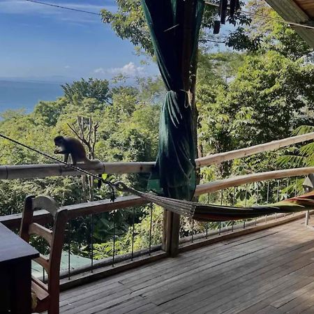 Beautiful Rustic Treehouse Hotel Manuel Antonio Кепос Экстерьер фото