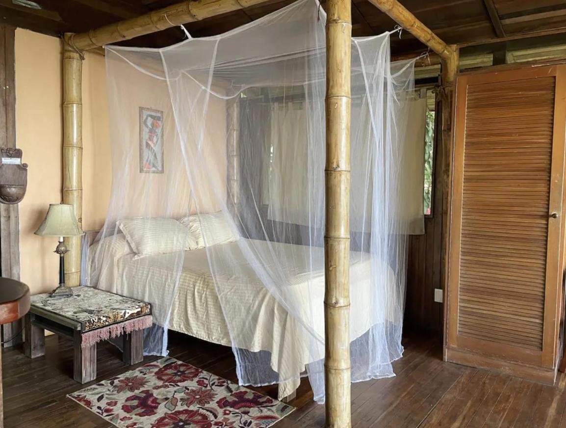 Beautiful Rustic Treehouse Hotel Manuel Antonio Кепос Экстерьер фото